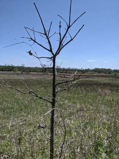 Nature Preserve «Subat Forest Preserve», reviews and photos, 4675-4999 Eldamain Rd, Plano, IL 60545, USA