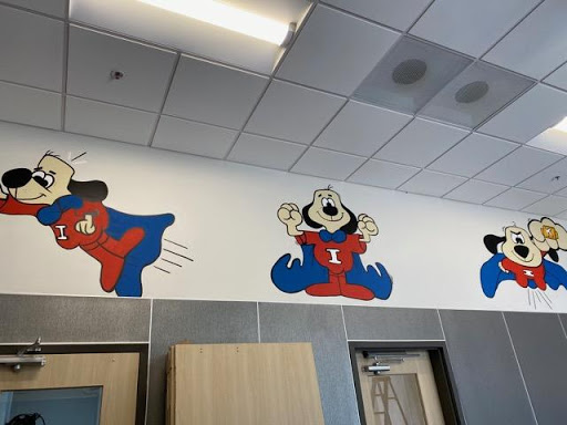 Insight Veterinary Wellness Center image
