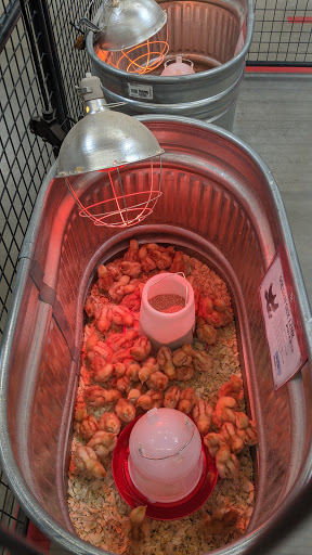 Home Improvement Store «Tractor Supply Co», reviews and photos, 1650 W Princeton Dr, Princeton, TX 75407, USA