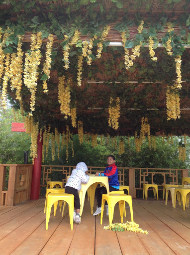 Amusement Center «Lucky Land», reviews and photos, 8625 Airline Dr, Houston, TX 77037, USA