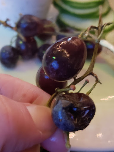 Bar «Wine Cafe», reviews and photos, 301 N Riverfront Dr, Mankato, MN 56001, USA