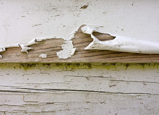 Painter «CertaPro Painters of Northeast, GA», reviews and photos, 139 Prominence Ct #150, Dawsonville, GA 30534, USA