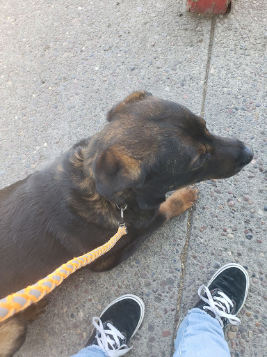 Pet Supply Store «Western Ranch & Pet Supply», reviews and photos, 103 Aegean Way, Vacaville, CA 95687, USA