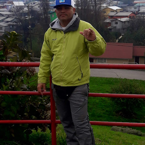 Comentarios y opiniones de Hostal Chiloe Libre Y Camping Carpalafitos