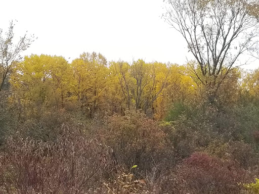 Nature Preserve «Rubio Woods», reviews and photos, W. Midlothian Turnpike, Midlothian, IL 60445, USA