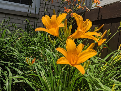 Public Golf Course «Turkeyfoot Golf Course», reviews and photos, 294 W Turkeyfoot Lake Rd, Akron, OH 44319, USA