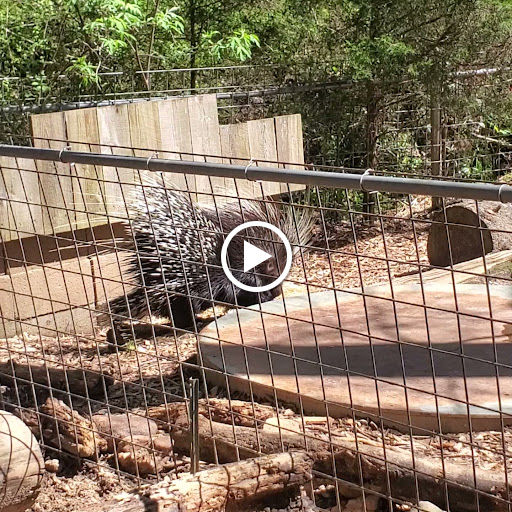 Zoo «Wildlife Wonders», reviews and photos, 2754 Paradise Valley Rd, Cleveland, GA 30528, USA