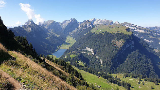 Alpengarten Hoher Kasten