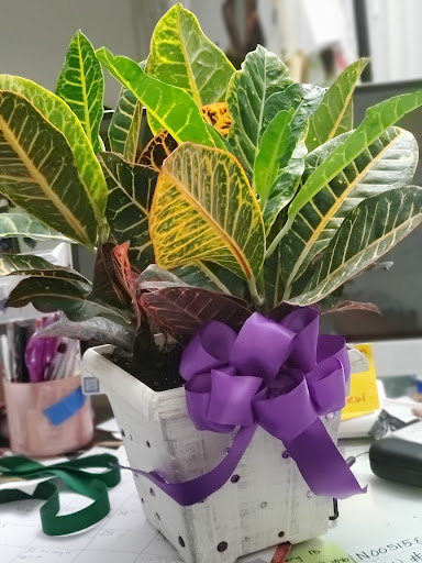 Craft Store «Michaels», reviews and photos, 7155 Kingery Hwy, Willowbrook, IL 60527, USA