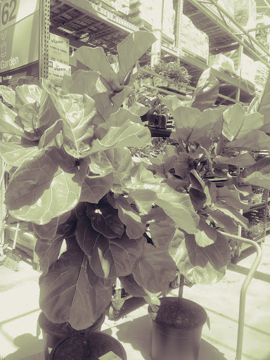 Home Improvement Store «The Home Depot», reviews and photos, 4121 U.S. 78, Lilburn, GA 30047, USA