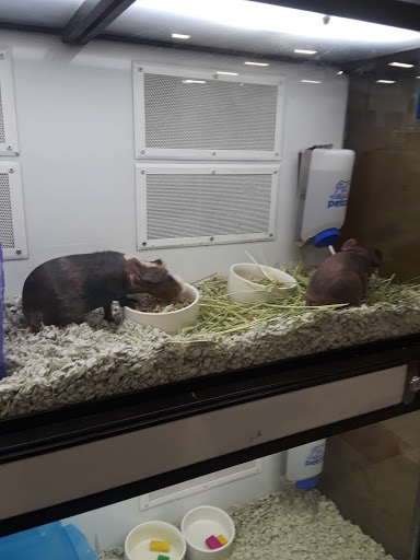 Pet Supply Store «Petco Animal Supplies», reviews and photos, 2765 Santa Rosa Ave, Santa Rosa, CA 95407, USA