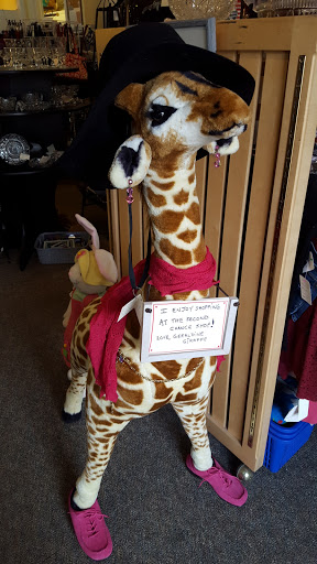 Thrift Store «Second Chance Shop», reviews and photos, 730 Hebron Ave, Glastonbury, CT 06033, USA