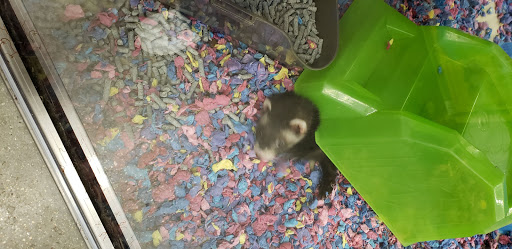 Pet Supply Store «Petco Animal Supplies», reviews and photos, 7303 Pinnacle Pkwy, Covington, LA 70433, USA