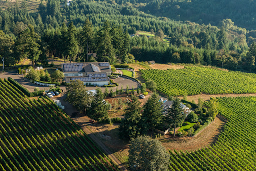 Lange Estate Winery & Vineyards