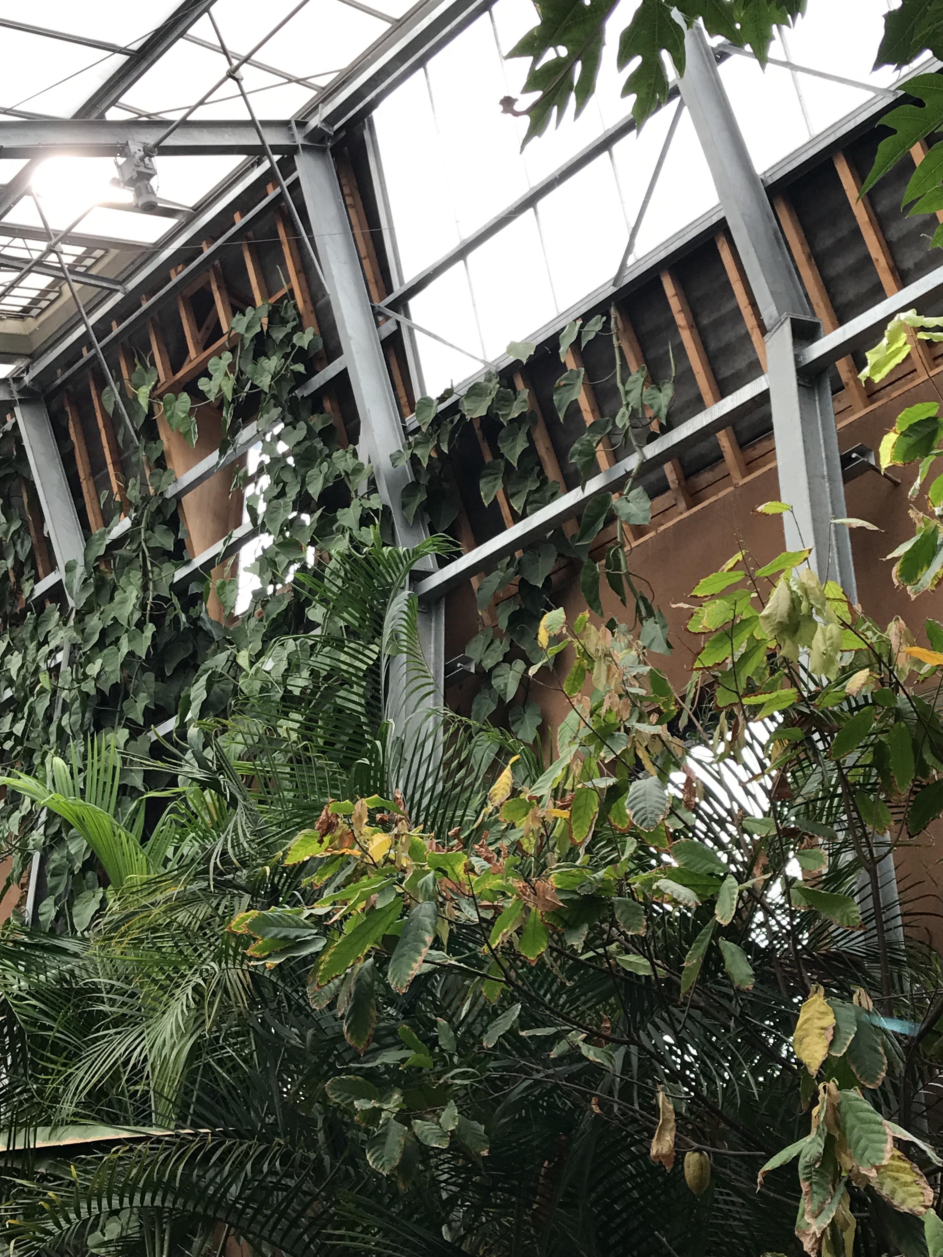 Photo n° 5 de l'avis de François.o fait le 22/05/2019 à 08:01