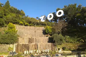 G B Pant High Altitude Zoo image