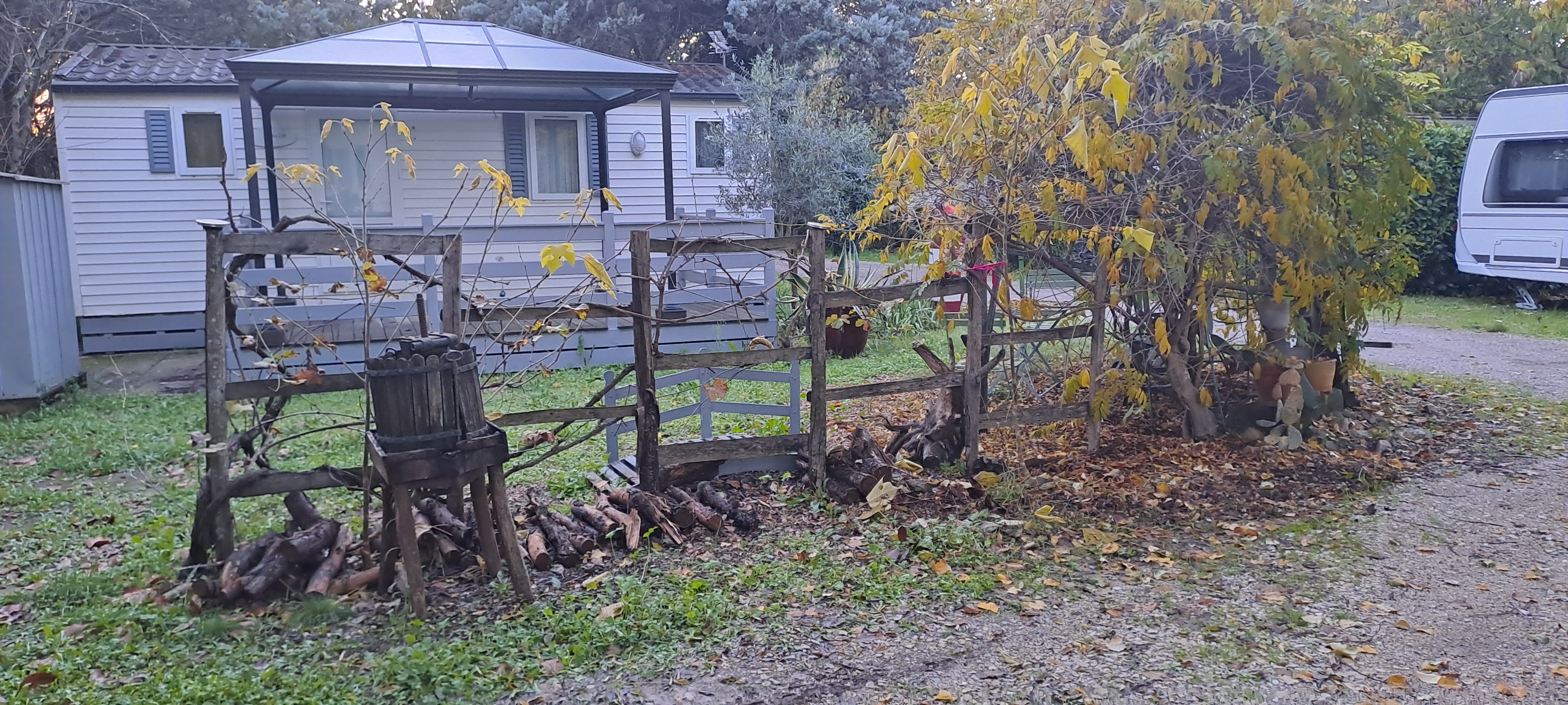 Photo n° 6 de l'avis de Vera.e fait le 11/01/2023 à 17:21