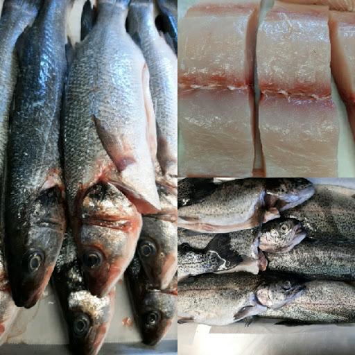 Alaskan Pride Seafoods