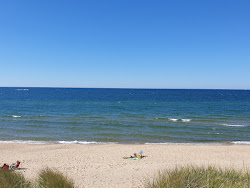 Photo of Oval Beach wild area