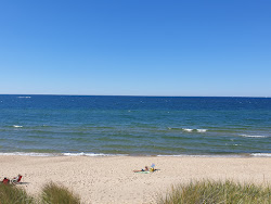 Oval Beach'in fotoğrafı ve yerleşim