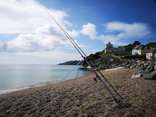 Driftwood beach