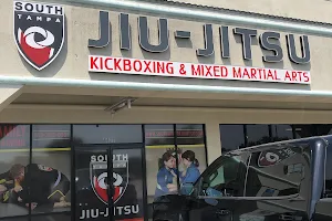 South Tampa Jiu-Jitsu & MMA image