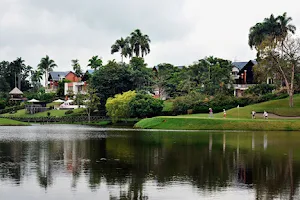 Lago Caujaral image