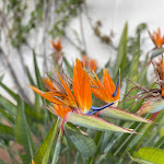 Photo n°5 de l'avis de Kira.e fait le 25/05/2023 à 19:57 sur le  Robinson Club Apulia à Marina di Ugento