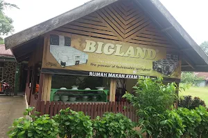 Rumah Makan Ayam Telat image