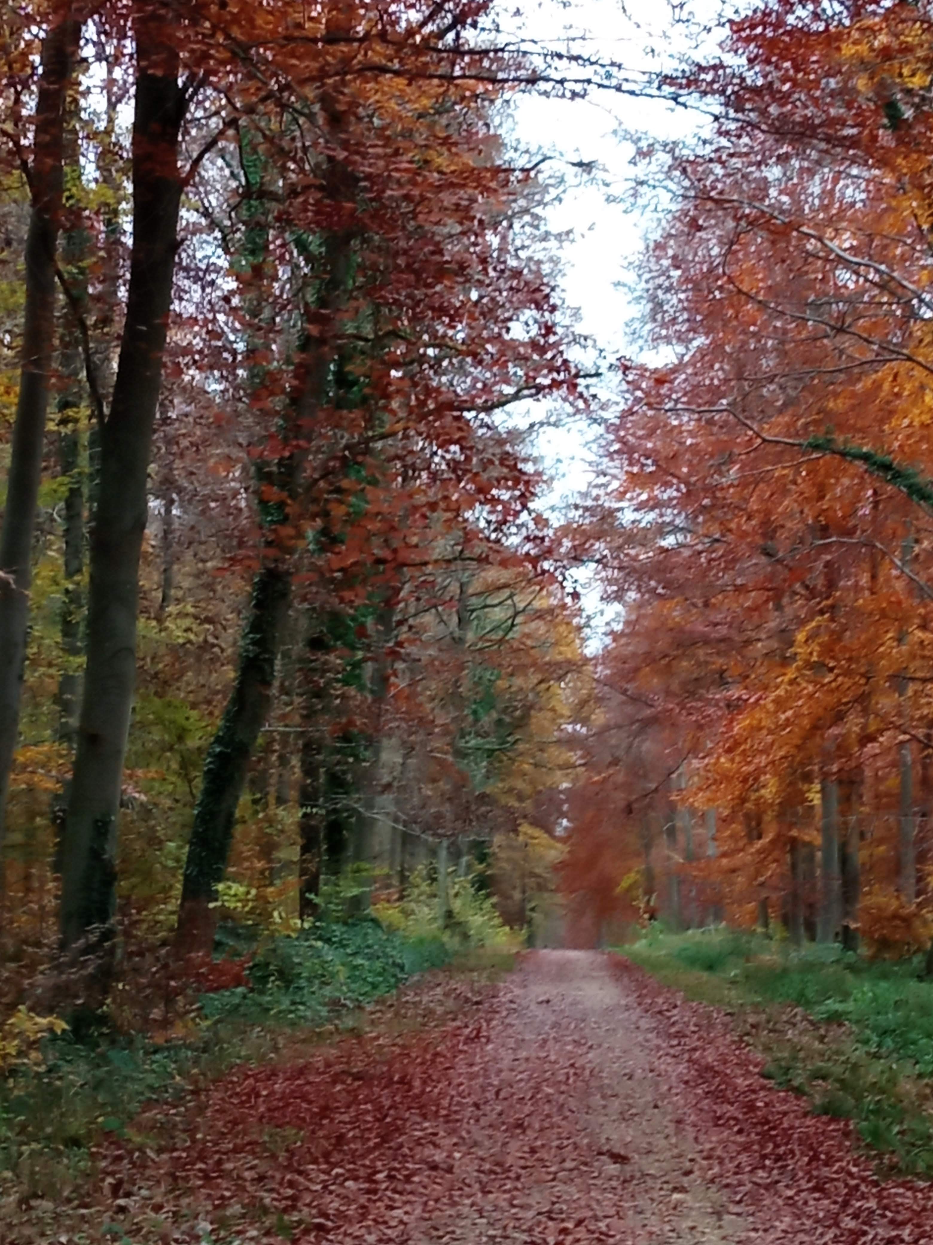 Photo n° 2 de l'avis de marieFrancois.y fait le 26/11/2021 à 20:19