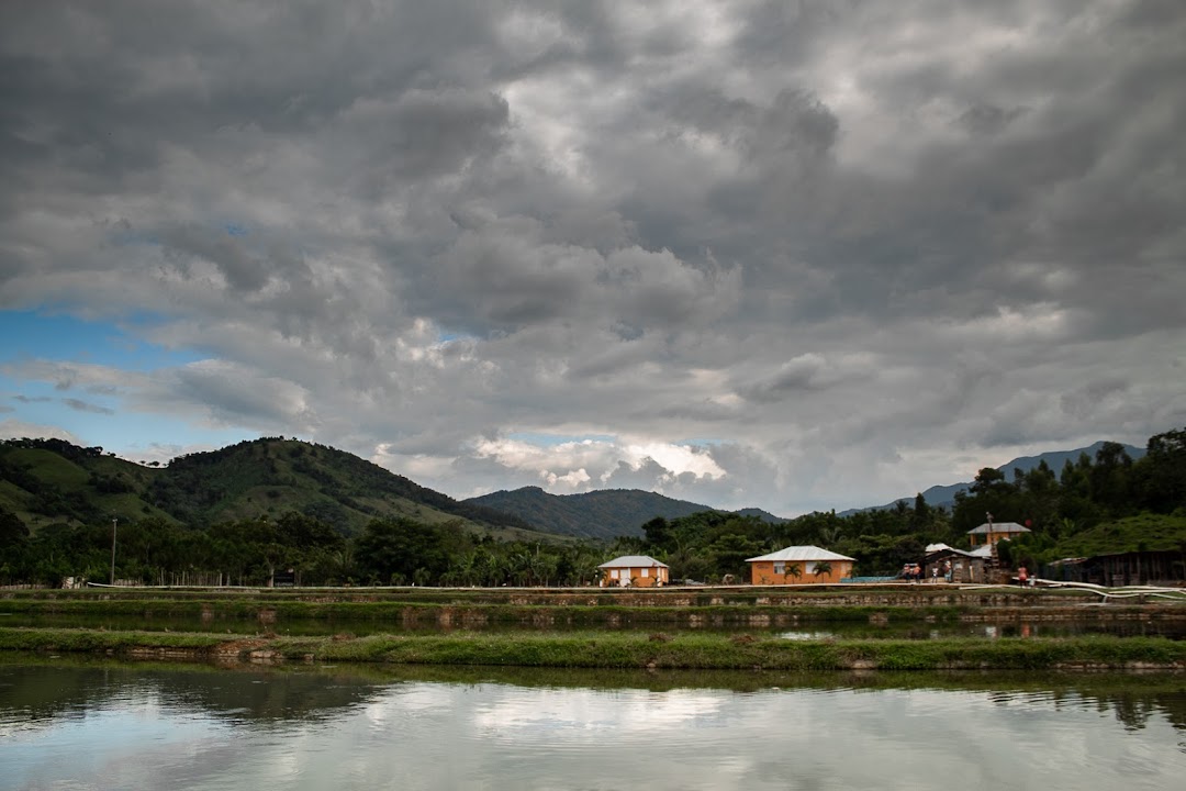 Hacienda El pacú