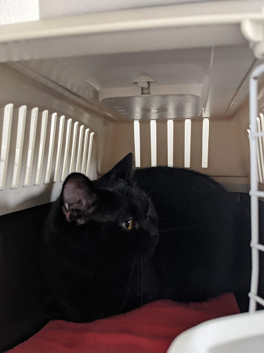 Dr.med.vet. Ulf Jacobi Tierarzt unter Ratingen, Nordrhein-Westfalen