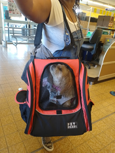 Supermarket «ALDI», reviews and photos, 24130 Van Born Rd, Dearborn Heights, MI 48125, USA