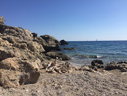 Agia Triada Plajı'in fotoğrafı vahşi alan