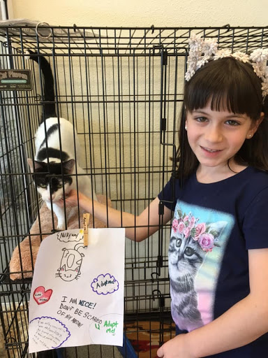 Pet Supply Store «North Tampa PET DEPOT», reviews and photos, 16033 Tampa Palms Blvd W, Tampa, FL 33647, USA