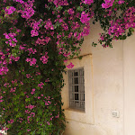 Photo n°48 de l'avis de Giuseppe.e fait le 06/06/2023 à 08:11 sur le  Borgo Egnazia à Savelletri