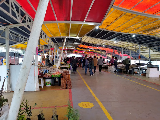 Opiniones de Feria Fluvial de Valdivia en Valdivia - Frutería