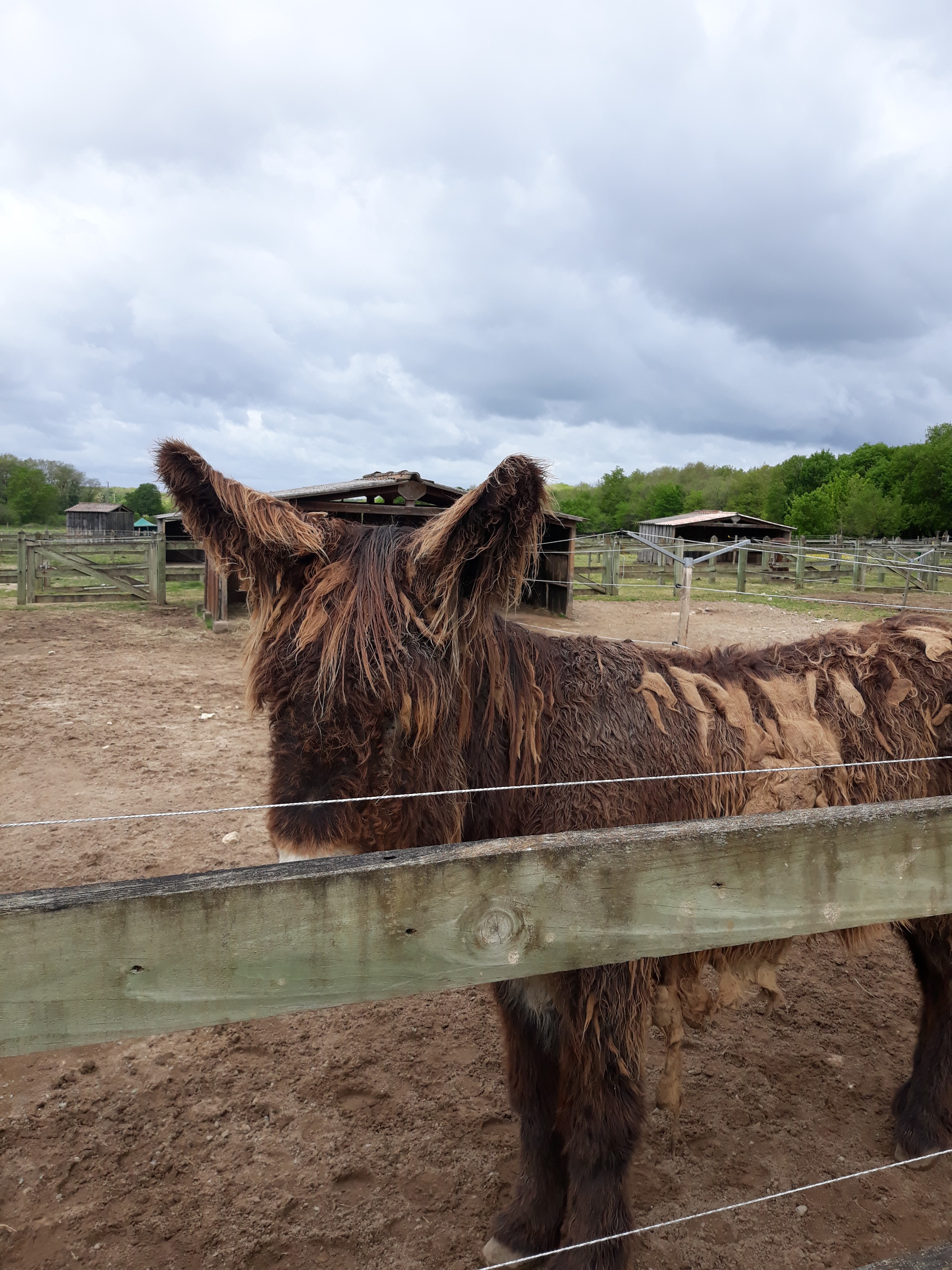 Photo n° 9 de l'avis de Nathalie.i fait le 28/04/2019 à 10:40