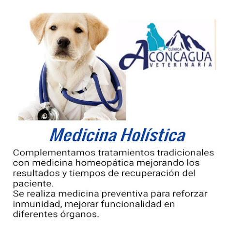 Clinica veterinaria Aconcagua - Veterinario