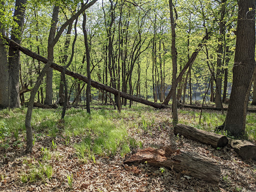 Nature Preserve «Iowa Raptor Center», reviews and photos, 2095 Mehaffey Bridge Rd NE, Solon, IA 52333, USA