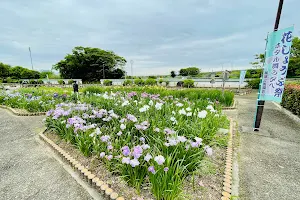 Manyokoen Park image