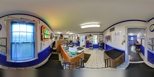 Pet Groomer «Blue Ribbon Dog Grooming LLC Anderson», reviews and photos, 5038 S Scatterfield Rd, Anderson, IN 46013, USA