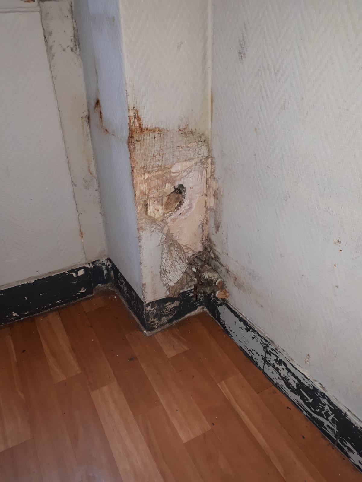 Photo n° 9 de l'avis de Cyril.a fait le 30/06/2018 à 13:02