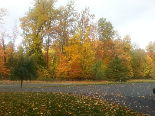 Stadium «Dutchess Stadium», reviews and photos, 1500 NY-9D, Wappingers Falls, NY 12590, USA