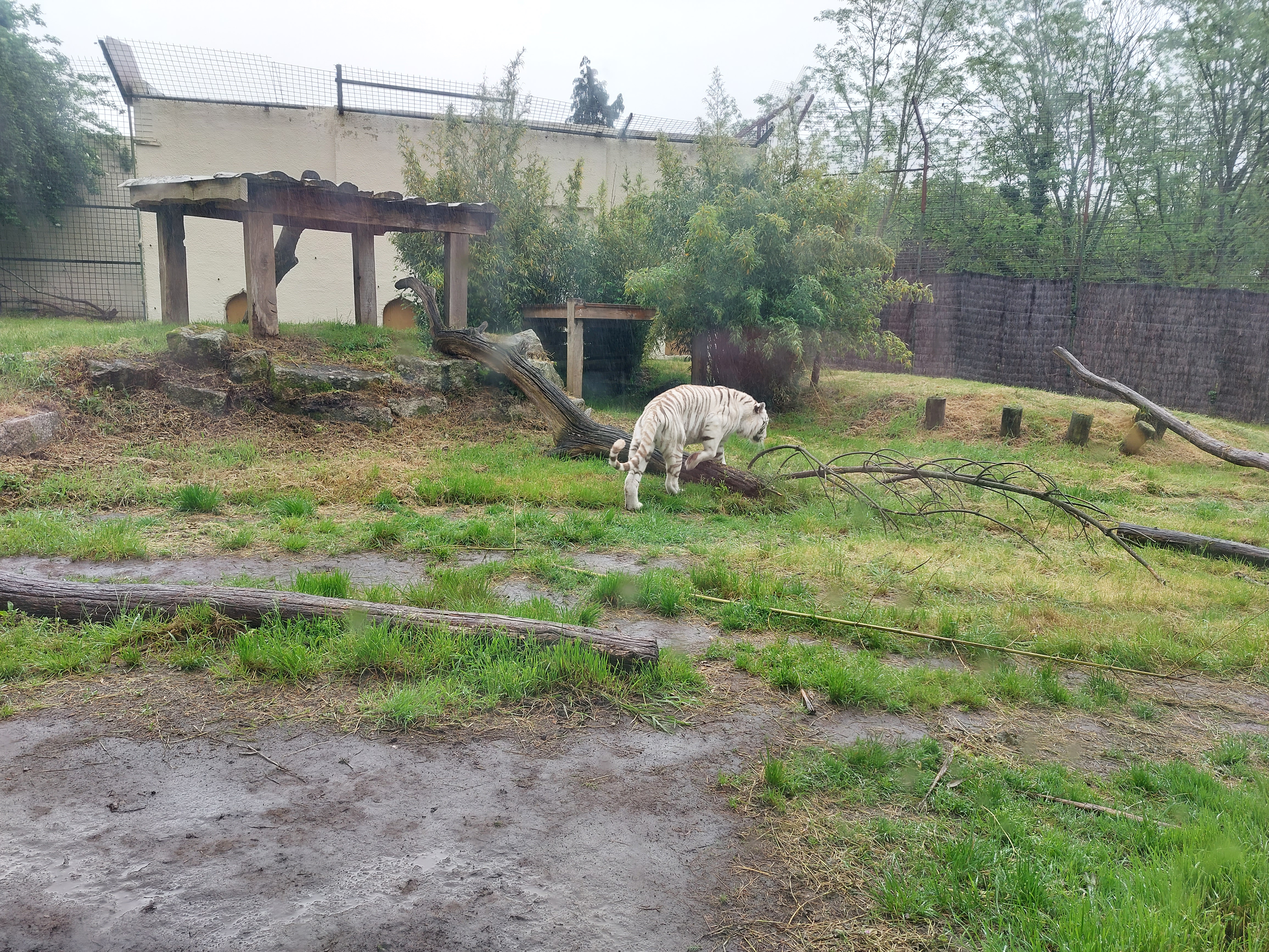 Photo n° 5 de l'avis de Bérengère.a fait le 08/05/2023 à 11:24