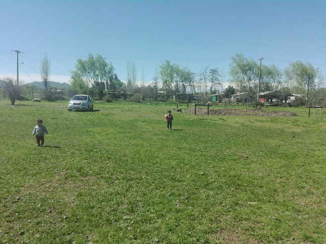 Opiniones de Campo Deportivo San Juan Las Pitras en Rauco - Gimnasio