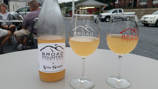 Winery «Broad Mountain Vineyard», reviews and photos, 34C S Market St, Elizabethville, PA 17023, USA