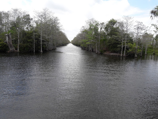 Nature Preserve «Grassy Waters Preserve», reviews and photos, 8264 Northlake Blvd, West Palm Beach, FL 33412, USA