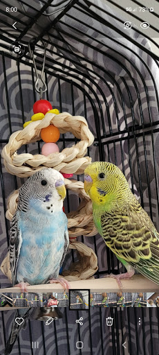 Pet Store «Creature Comforts», reviews and photos, 1250 Front St, Binghamton, NY 13901, USA