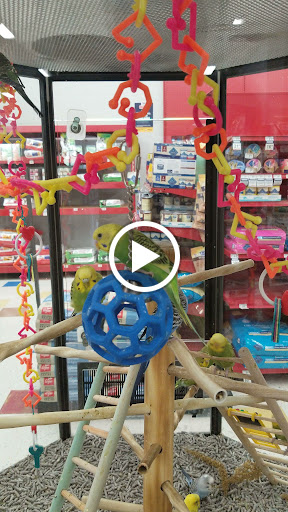 Pet Supply Store «Petco Animal Supplies», reviews and photos, 2689 Market Center Dr, Rockwall, TX 75032, USA